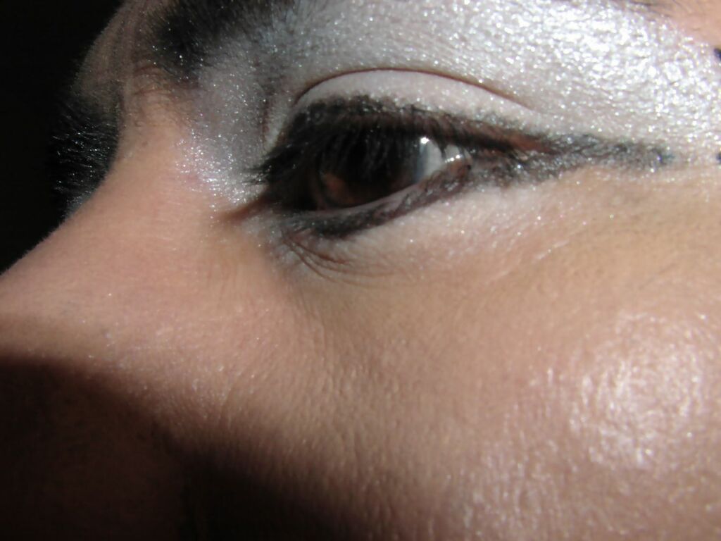 Silver eye makeup